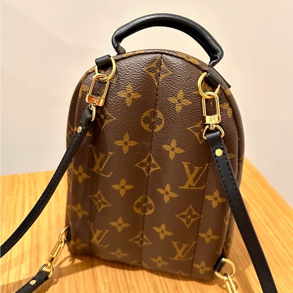 LV Palm Spring Mini Backpack | Excellent Condition - Picture 4 of 7